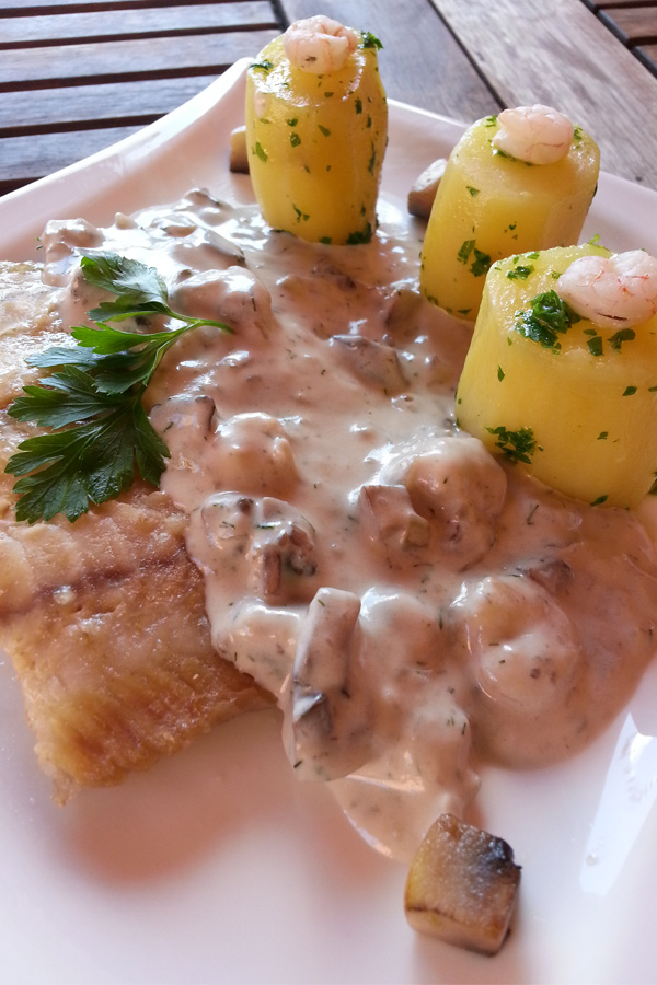 Hal kárpáti módra